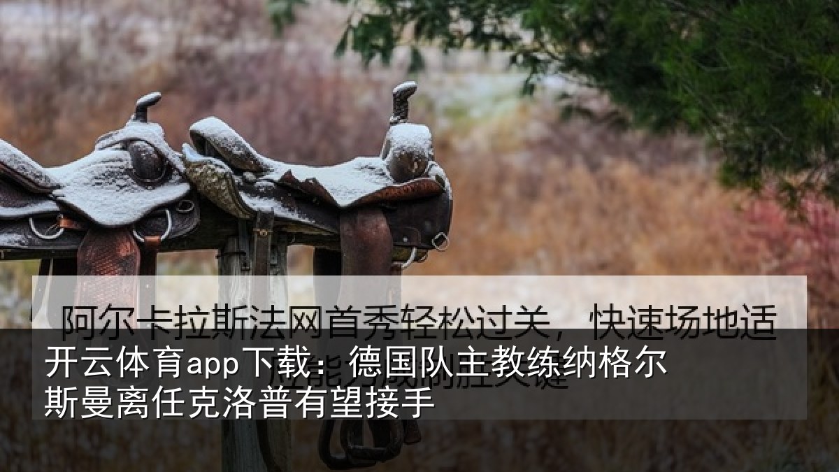 开云体育app下载：德国相关情况曼离相关情况
