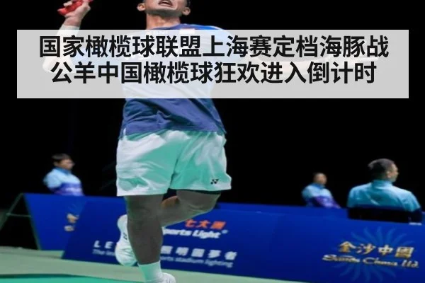 国家橄榄球联盟上海赛定档海豚战公羊中国橄榄球狂欢进入倒计时