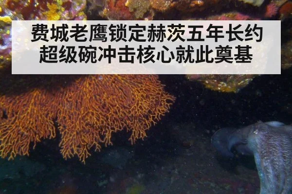 费城老鹰锁定赫茨五年长约超级碗冲击核心就此奠基